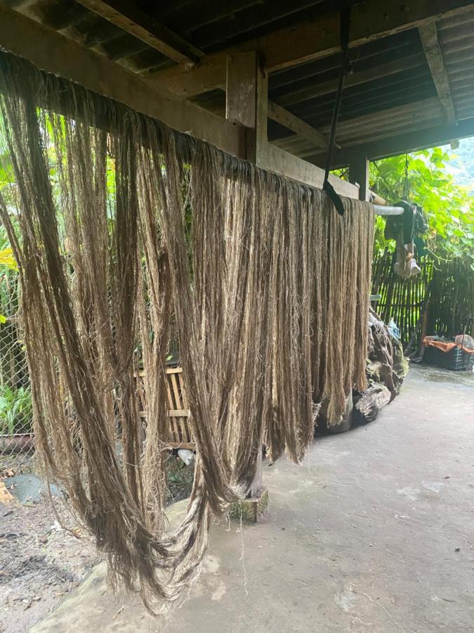Hoa'S Homestay Sapa Kültér fotó