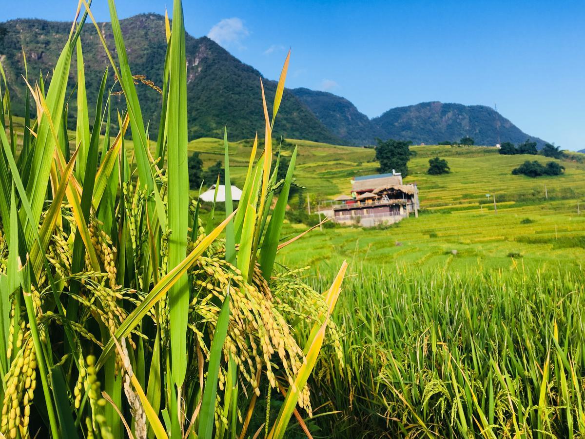 Hoa'S Homestay Sapa Kültér fotó