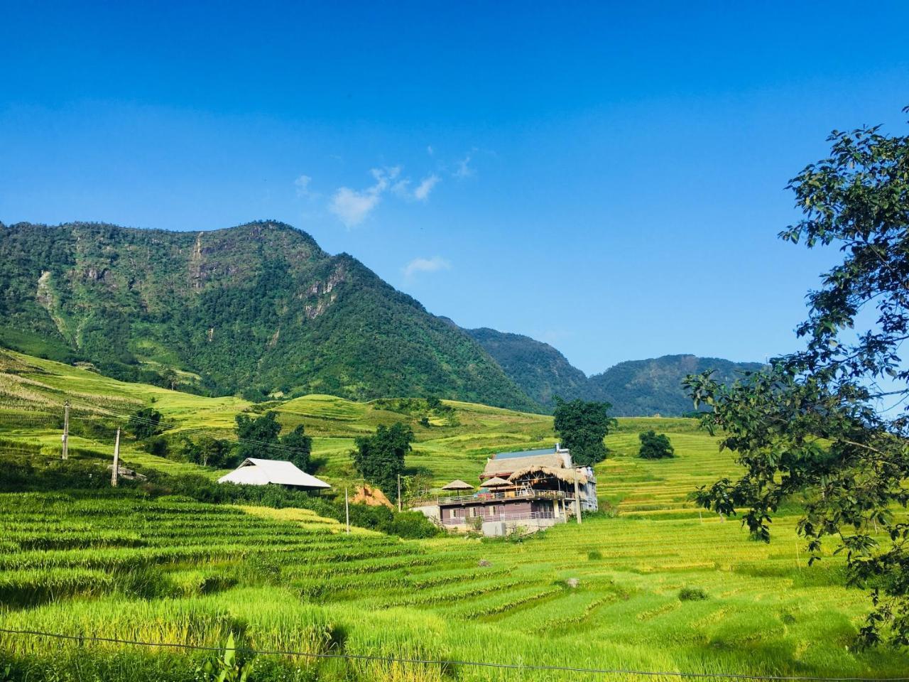 Hoa'S Homestay Sapa Kültér fotó